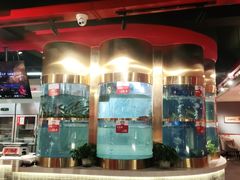 -蜀滋香鲜鱼美蛙火锅(339店)