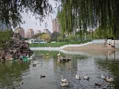 -团结湖公园