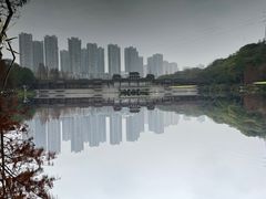-重庆彩云湖湿地公园