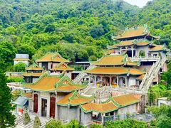 -南海湾森林生态园