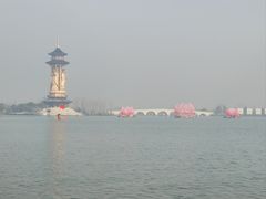 -溱湖国家湿地公园