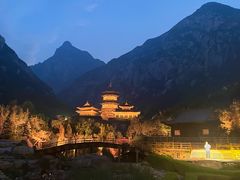 -禅宗少林·音乐大典