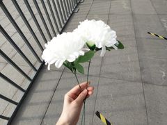 -侵华日军南京大屠杀遇难同胞纪念馆