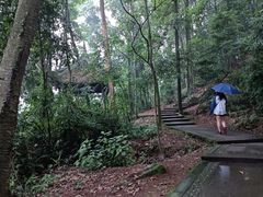 -凤栖山