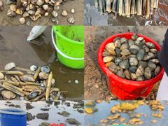 -巧克力渔家.小船海鲜胶东菜(万平口店)