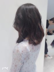-爱维丽