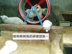 -大连圣亚海洋世界
