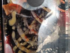 -传闻来紫菜包饭·打糕(西塔韩百店)