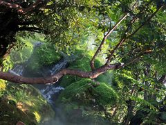 -Chom Cafe and Restaurant