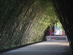 -望江楼公园