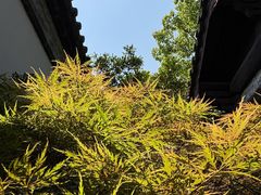 -常熟方塔园