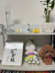 -程氏苗堂苗技养生