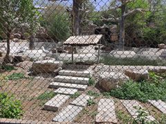 -石家庄市动物园