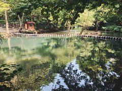 -阿哈湖国家湿地公园