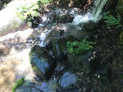 -藏龙百瀑风景区