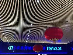 -农垦博纳国际影城(津奥广场IMAX店)