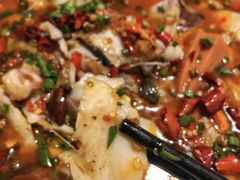 -飞虹鱼馆(春华路店)