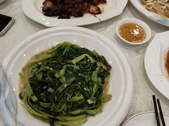 老娘叉烧-姚林轩