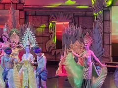 -金东尼人妖秀