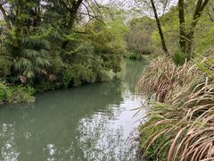 -西溪国家湿地公园