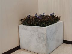 -爱康卓悦体检中心(九座花园分院)