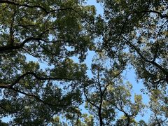 -共青国家森林公园-售票处