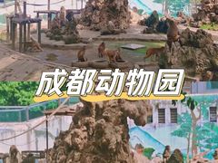 -成都动物园