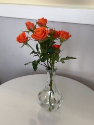 -韩辰医疗美容医院