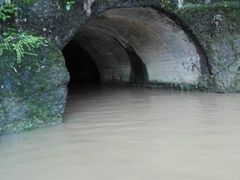 -寻龙山风景旅游区