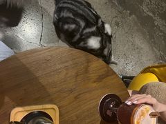 -咖法森林·咖啡  酒吧(天河店)