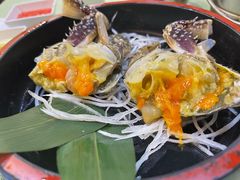 -渔娘渔家丹东海鲜(东直门店)