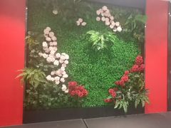 -辛香味烧鱼馆·非遗技艺·排骨红烧肉(光谷医药园店)