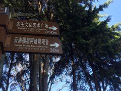-南诏风情岛