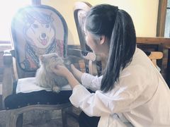 -more than meow吴止猫主题餐厅(承德 中船汇店)