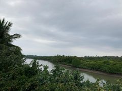 -东寨港红树林旅游区