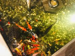 -衡山汇·高级粤菜(霄云路店)