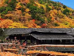 -四明山国家森林公园