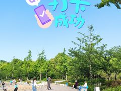 -新江湾城公园