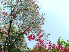 -云龙湖旅游景区