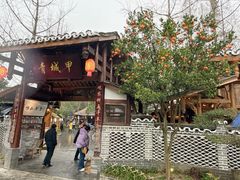 -青城甲(青城山店)