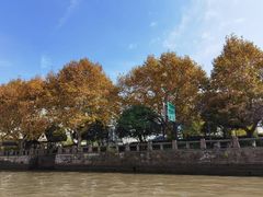 -运河游船(武林门码头)