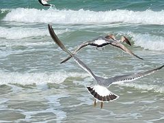 -那香海钻石沙滩浴场