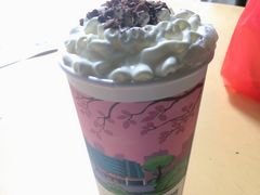 -一杯潮茶·专注潮汕茶饮(十二中创始店)