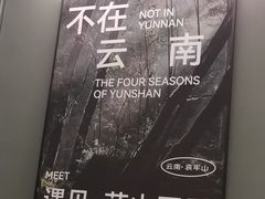 -芸山季·云南山珍菌火锅(南翔印象城MEGA店)