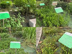 -广东中医药博物馆