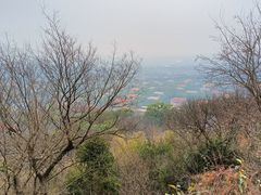 -上海佘山国家森林公园西佘山园