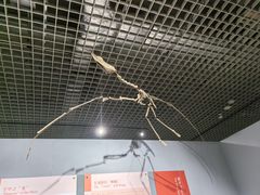 -大连自然博物馆