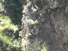 -苍山感通索道