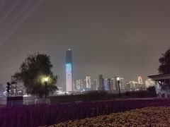 -武汉两江游览·夜游长江(汉口粤汉码头)