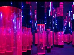 -成都浩海立方海洋公园